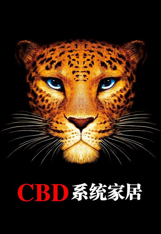 CBD系統家居